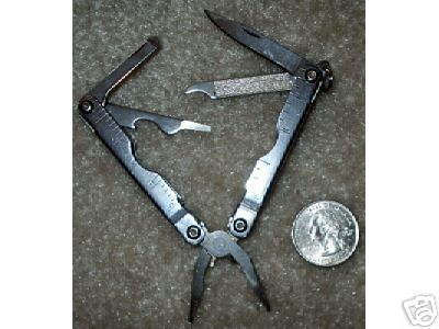 Bear Jaws 153 2.5 inch Mini.jpg