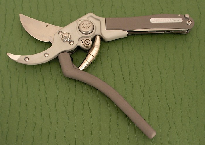 Genus, open
